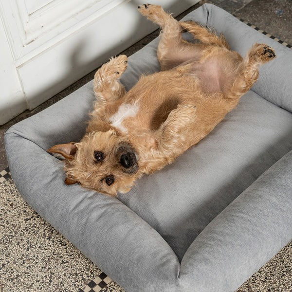 Fantail Snug Mellow Ortopedisk Hundeseng - Pearl Grey