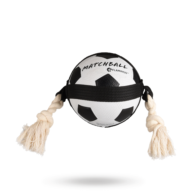 Actionball Fotball med Tau