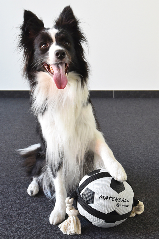 Actionball Fotball med Tau