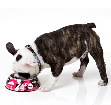 Loudmouth - Matskål