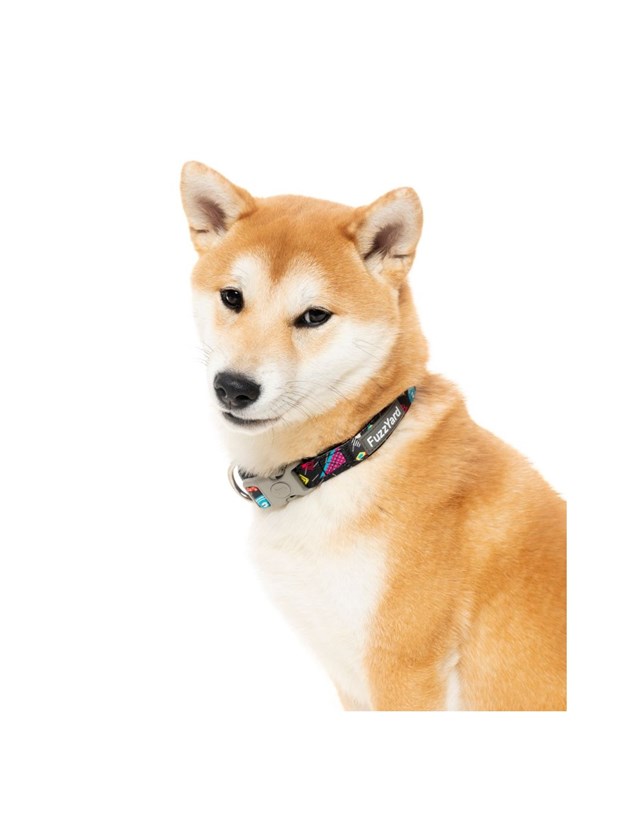 Bel Air - Hundehalsbånd