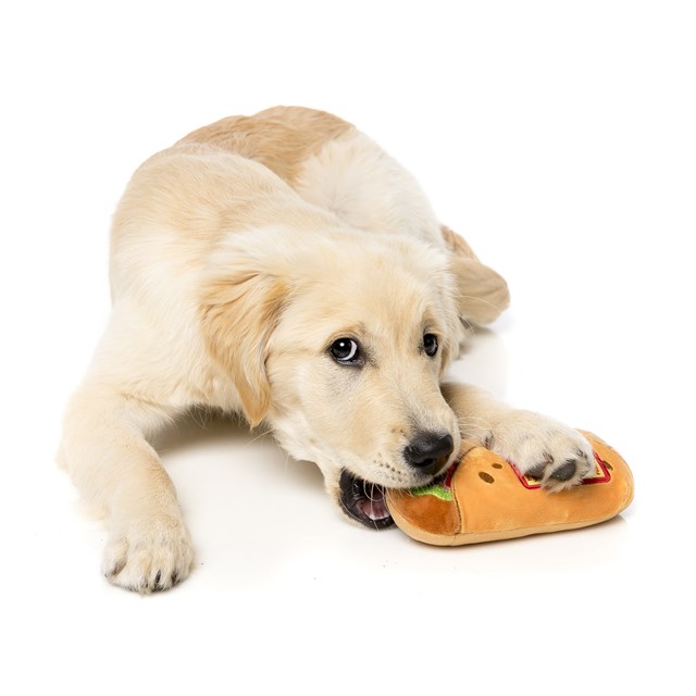 Myk Hundeleke - Burrito