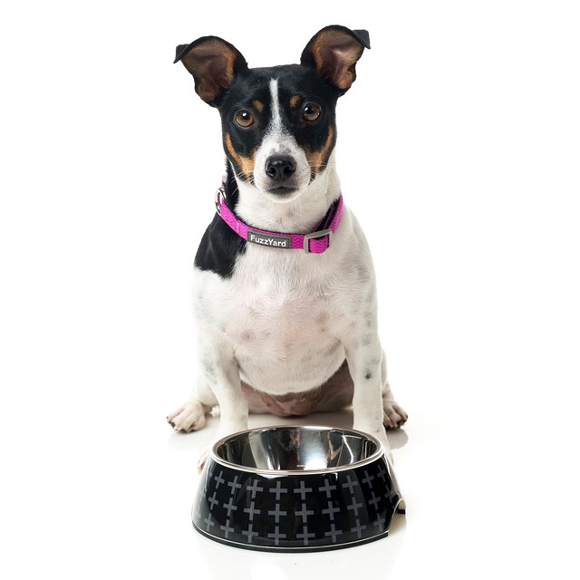 Yeezy - Hundematskål