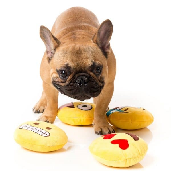 Myk Hundeleke - Emoji Eek