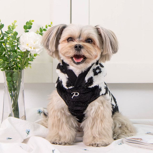 Serval - Svart Hundegenser