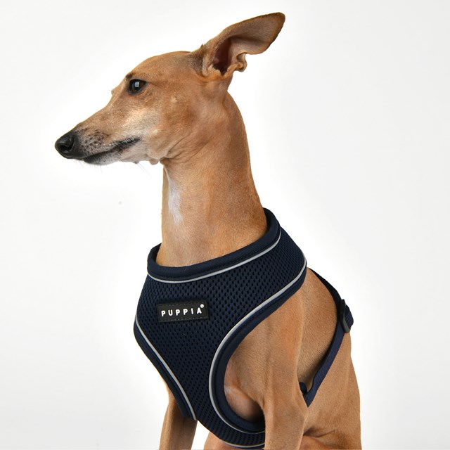 SOFT Harness A PRO Navy - Hundesele