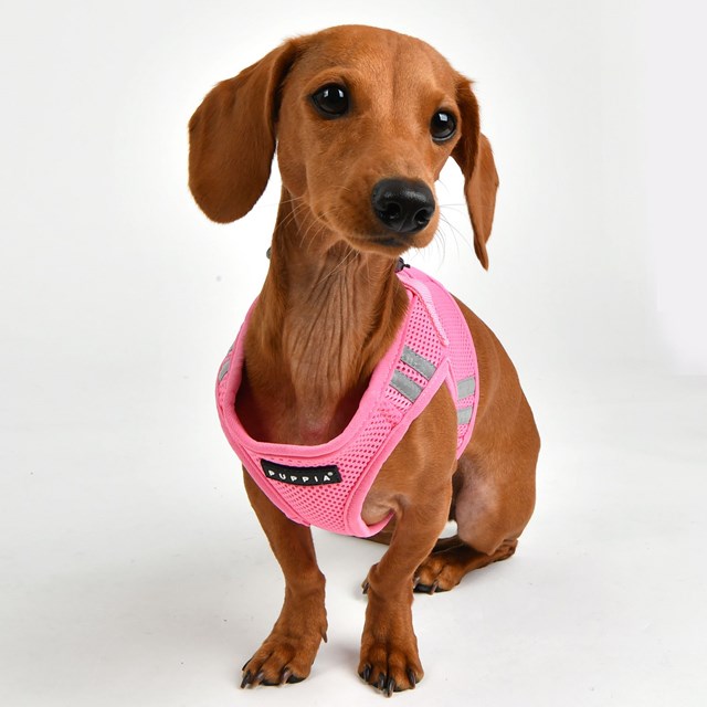 Soft Vest PRO Rosa - Hundesele