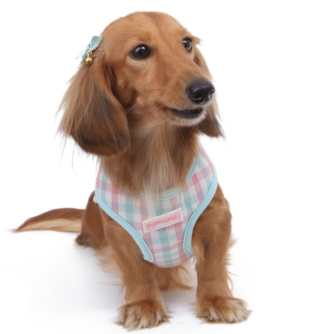 Gingham Girl Mint - Sele og Kobbel