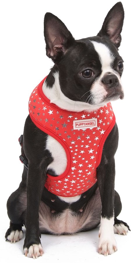 Glam Red Rock - Sele og Kobbel