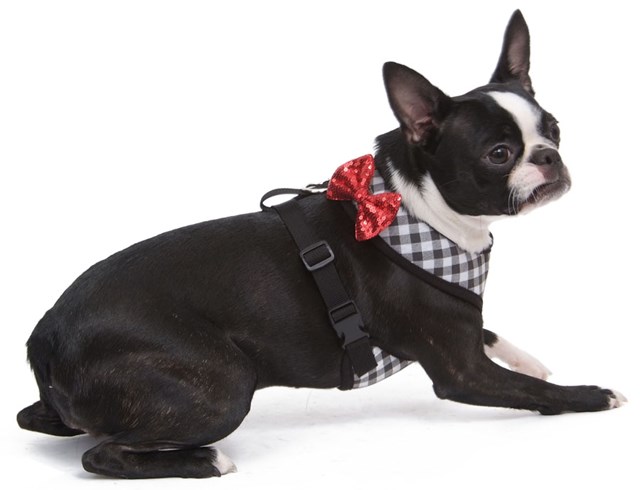 Picnic Chic Soft Black - Sele og Kobbel