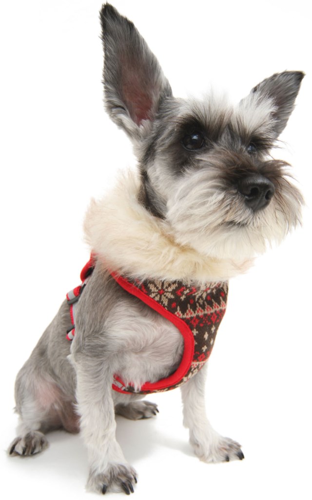 Winter Vest Sele - Navy