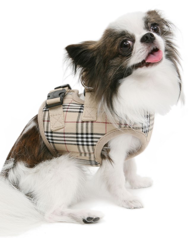 London Calling Jacket & Kobbel - Svart