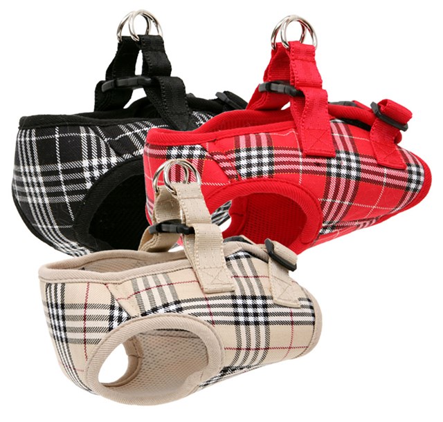 London Calling Jacket & Kobbel - Svart