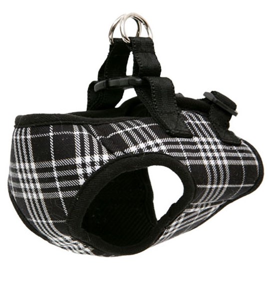 London Calling Jacket & Kobbel - Svart