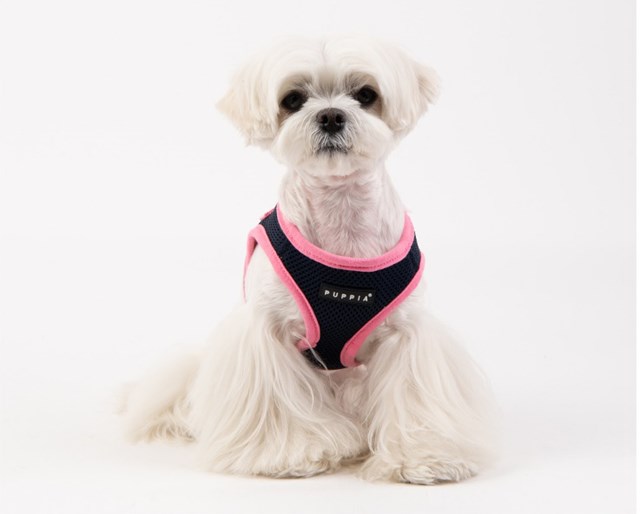 Soft Vest II Navy - Hundesele