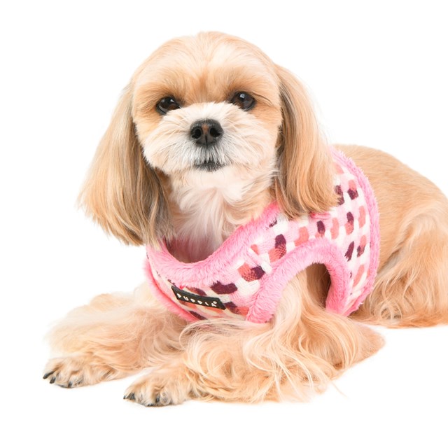 Arden Rosa - Jacket Hundsele