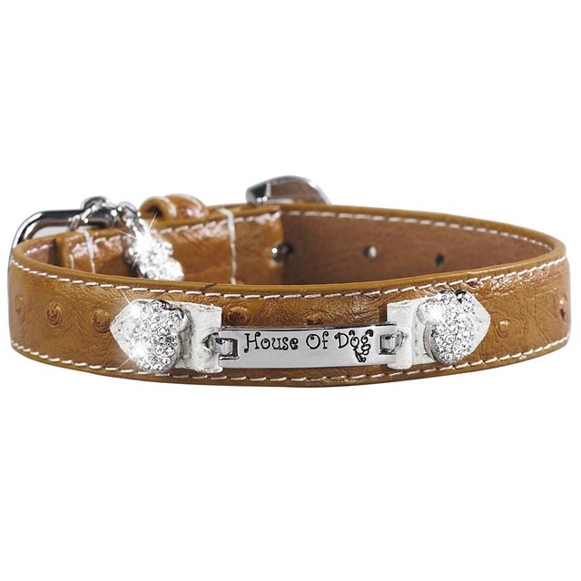 Signature Nameplate Halsbånd