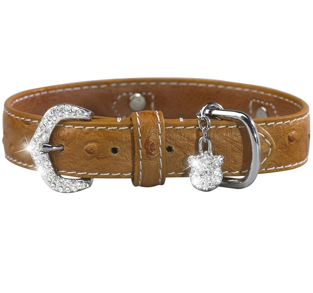 Signature Nameplate Halsbånd