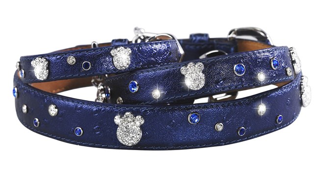 Paws and Sprinkles Halsbånd Mørkeblå