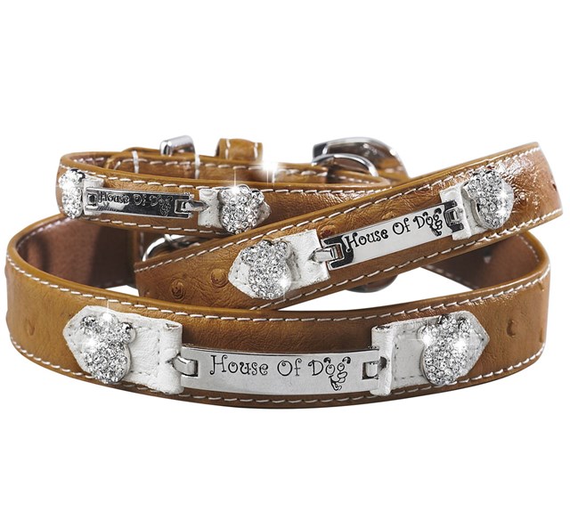 Signature Nameplate Halsbånd