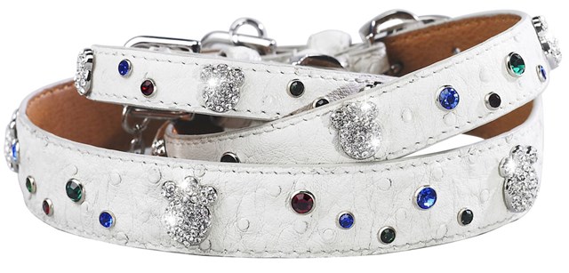 Paws and Sprinkles Halsbånd Hvit