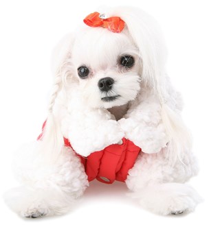 Secret Diamond Hairpin