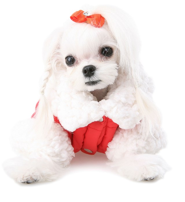 Secret Diamond Hairpin