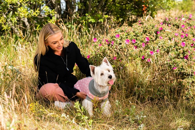 Pink Star - Strikket Hundegenser