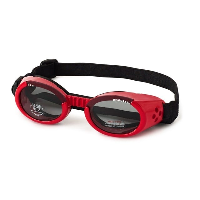 Hundebriller ILS - Shiny Red / Smoke Lens