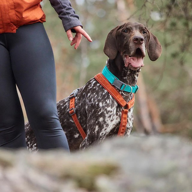 Hurtta Casual Halsbånd ECO - Cinnamon