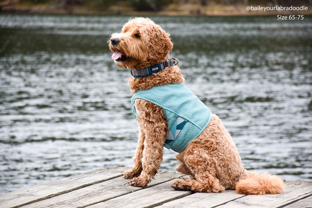 Cooling Wrap Kjølevest - Aquamarine