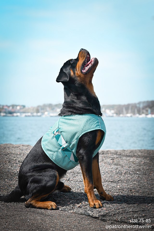 Cooling Wrap Kjølevest - Aquamarine