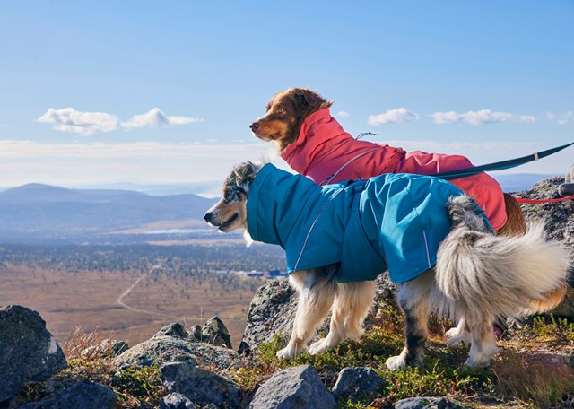 Hurtta Expedition Parka II - Ocean