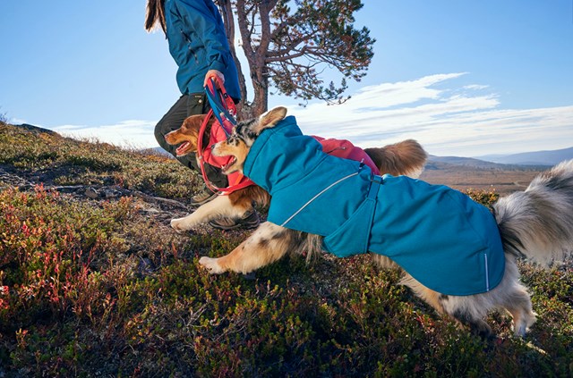 Hurtta Expedition Parka II - Ocean