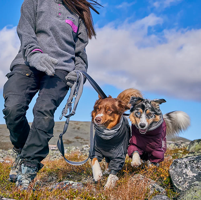 Hurtta Multilong Kobbel II - Blackberry