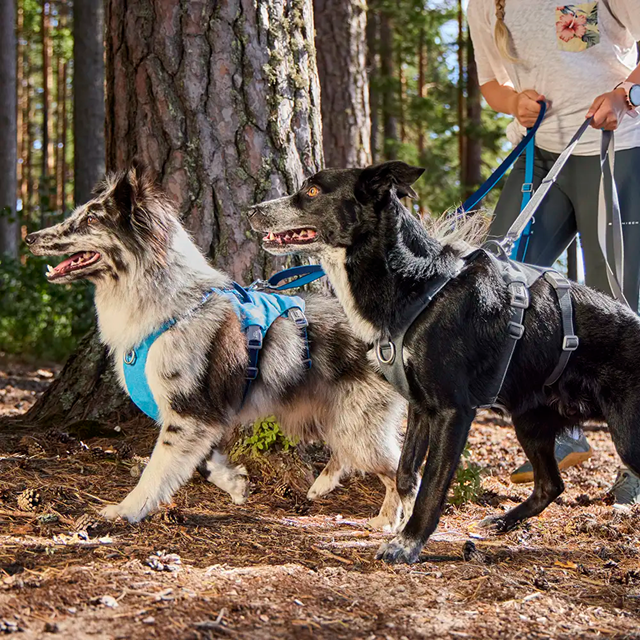 Hurtta Multilong Kobbel II - Ocean