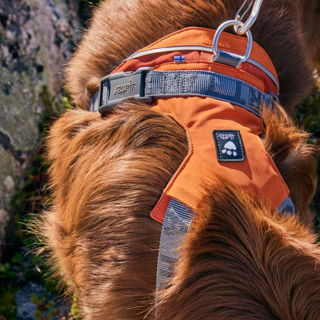 Hurtta Rover Hundesele - Peacock