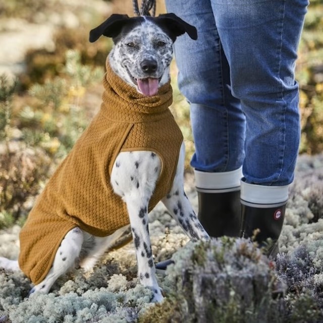 WARMING MIDLAYER ECO DOG JACKET - Desert