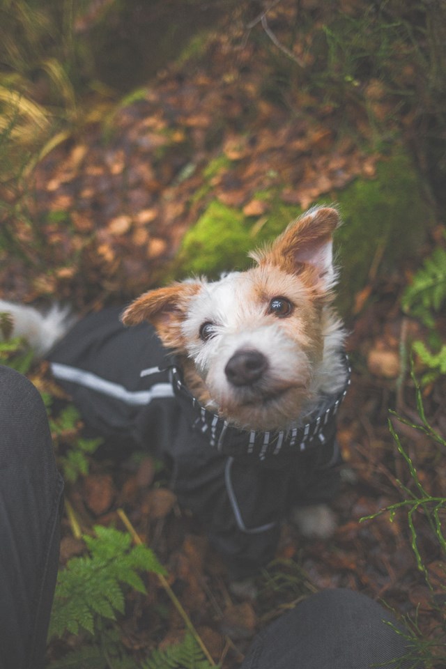 Downpour Suit Raven Regnoverall