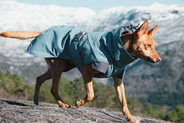 Expedition Parka Bilberry Vinterdekken