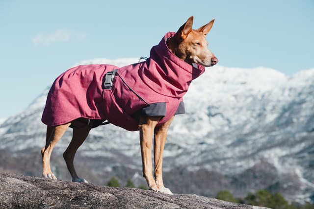 Expedition Parka Beetroot Vinterdekken