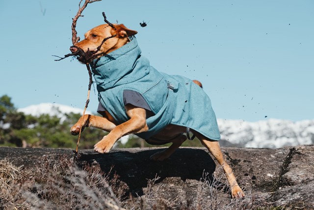 Expedition Parka Bilberry Vinterdekken