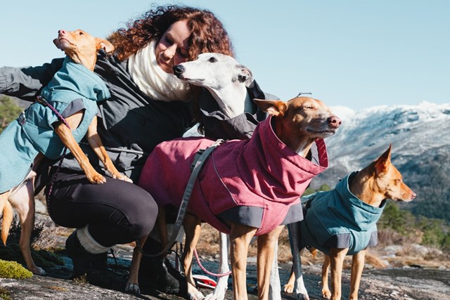 Expedition Parka Beetroot Vinterdekken