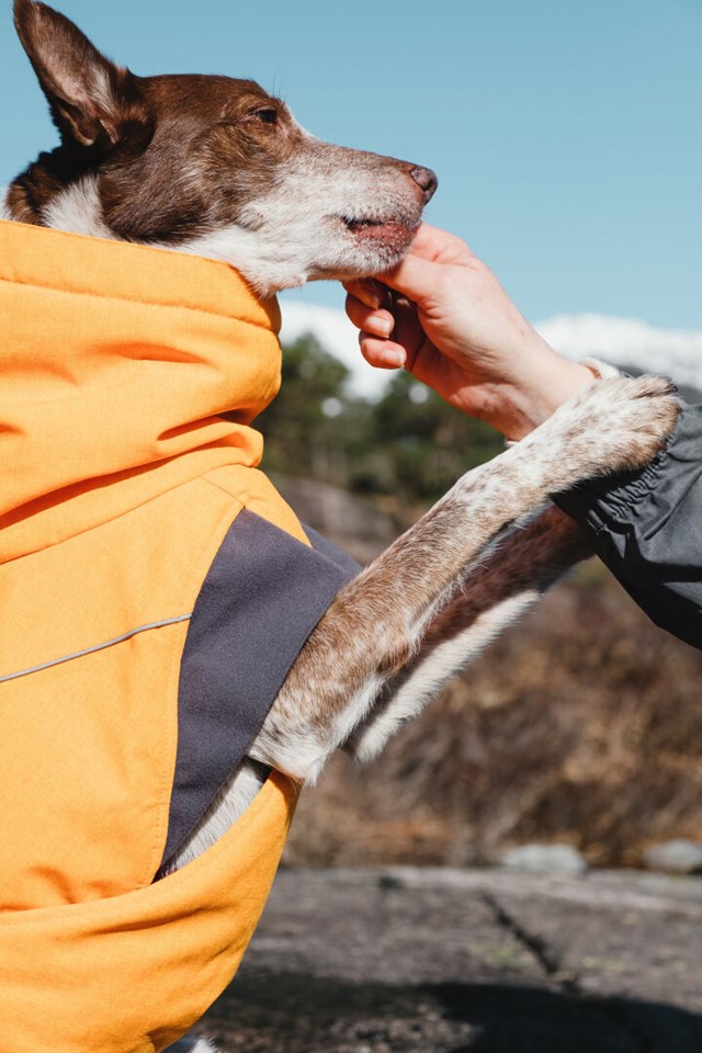 Expedition Parka Buckthorn Vinterdekken