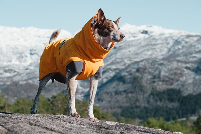Expedition Parka Buckthorn Vinterdekken