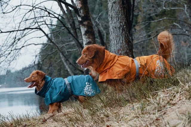 Hurtta Monsoon Regnjakke Blåbær