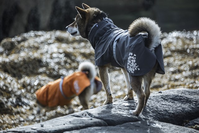 Hurtta Monsoon Regnjakke Bjørnebær