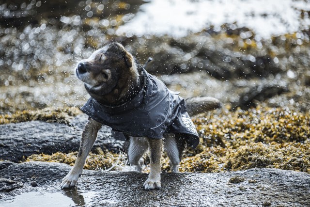 Hurtta Monsoon Regnjakke Bjørnebær