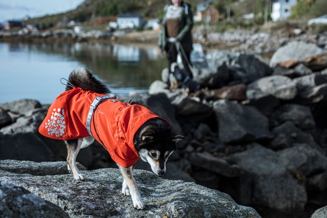 Monsoon ECO Rosehip Regndekken