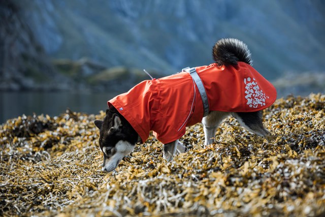 Monsoon ECO Rosehip Regndekken